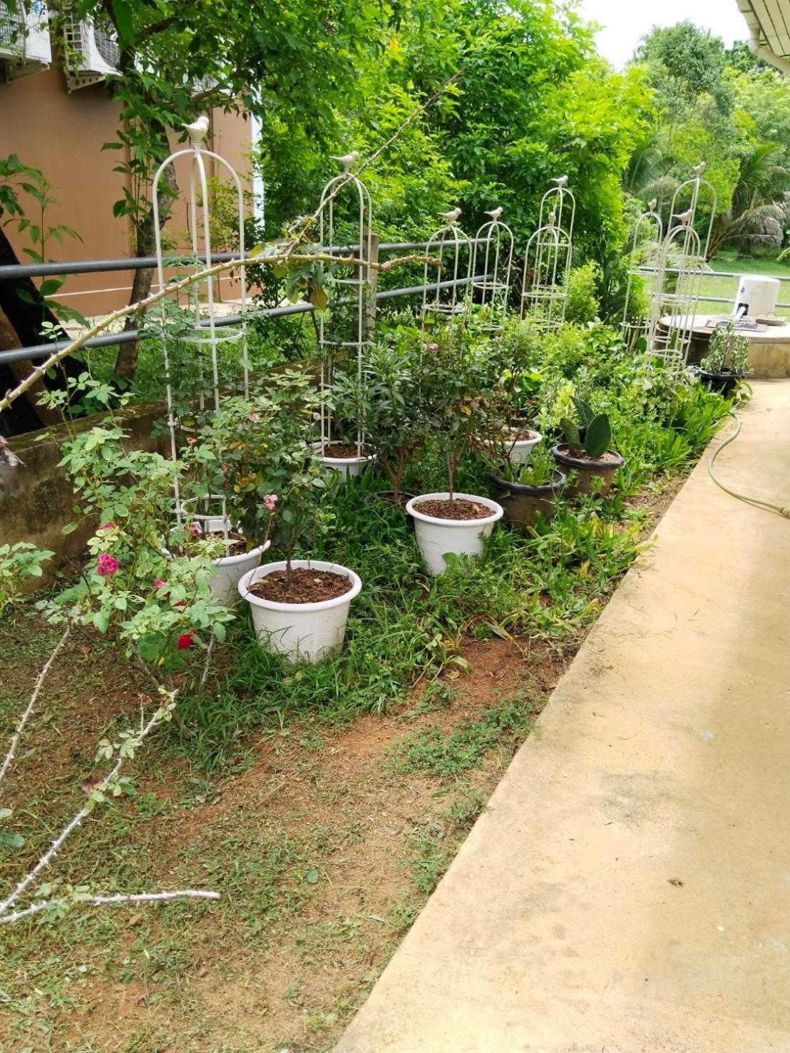 Thanid House Ban Nai Khlong 외부 사진